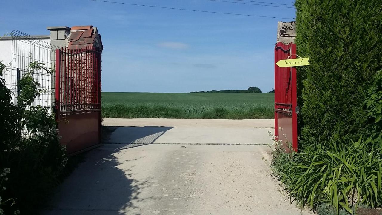 Les Nympheas, Appart Au Calme Et Grand Jardin A 15 Min De Disneyland, Crecy-la-Chapelle Eksteriør bilde