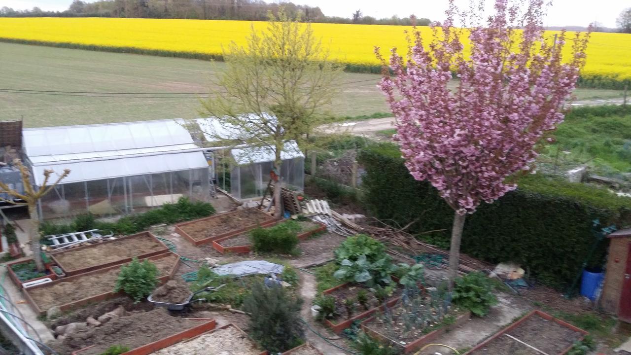 Les Nympheas, Appart Au Calme Et Grand Jardin A 15 Min De Disneyland, Crecy-la-Chapelle Eksteriør bilde